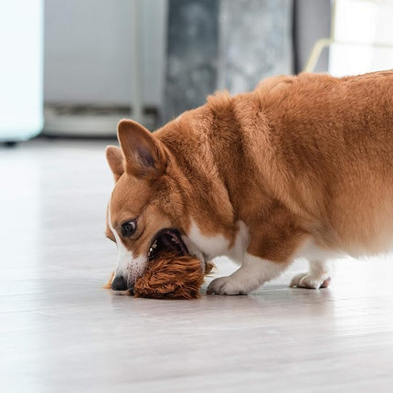 STAR WARS for Pets Plush Chewbacca Flattie Dog Toy | Soft Toys for Dogs, Brown, Large - 9" | Cute Dog Toy, Squeaky Dog Chew Toy for Pets from