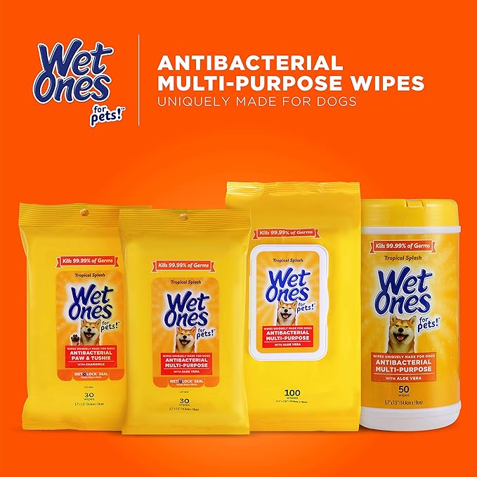 Wet Ones for Pets Multi-Purpose Dog Wipes with Aloe Vera Dog Wipes for All Dogs in Tropical Splash Wipes for Dog Paws & All Over Use (Pack of 12,1200 Count Total)