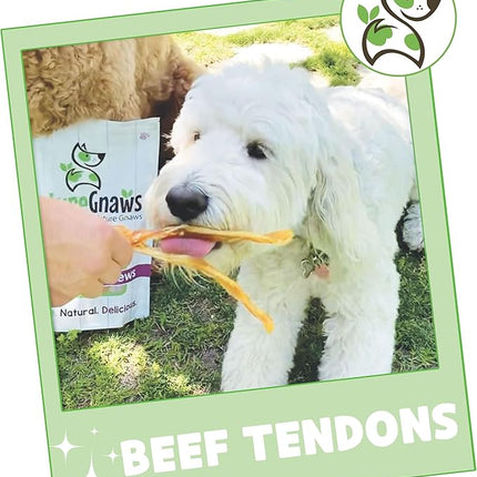 Nature Gnaws Beef Tendons for Dogs (1Lb) - Mixed Thickness - Long Lasting for Small and Medium Dogs - Natural Beef Jerky Dog Chew Bones - Rawhide Free