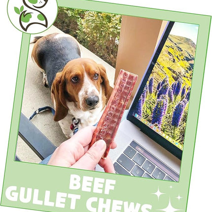 Nature Gnaws Beef Gullet Chews for Small Dogs 4-5" (10 Count) - Natural Beef Jerky Stick Dog Chew Treats - Rawhide Free