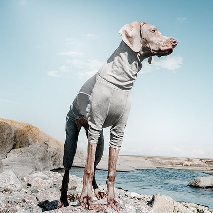 Hurtta Body Warmer Dog Body Suit, Recovery Suit, Carbon Grey, 12XS