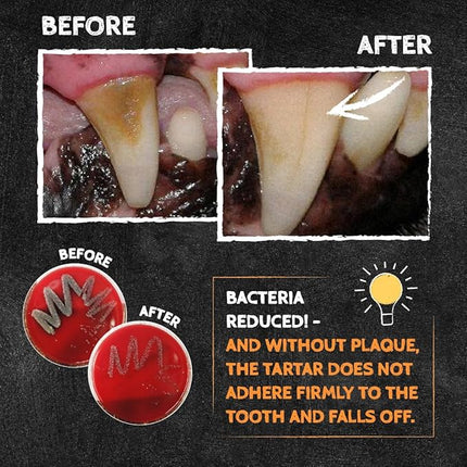 QCHEFS Dental Flakes for Dogs – One Month Supply* - Food Topper - After Meal Licking Treat, Oral Health Snack with Amino Acids.