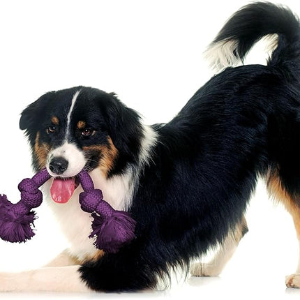 Playology Dog Toys | Dri-Tech Rope Toy Tug of War Rope for Aggressive Chewers | Medium Bacon Scented Toy - Easy to Clean and Made from Non Toxic Materials