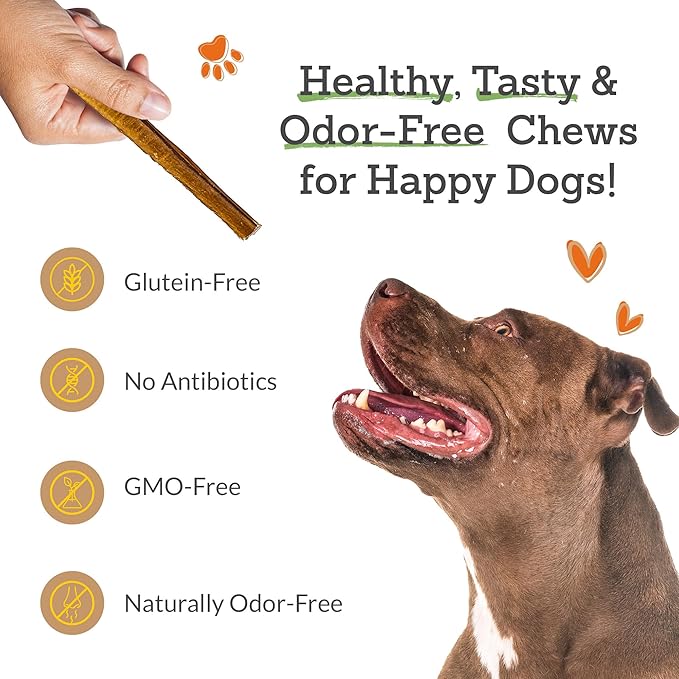 6 Inch Bully Sticks (Pack of 10) - 100% Beef, Odor Free Dog Chews for Aggressive Chewers - Long Lasting, Gluten-Free, Easy to Digest, High Protein & Rawhide Free Chews for Dogs