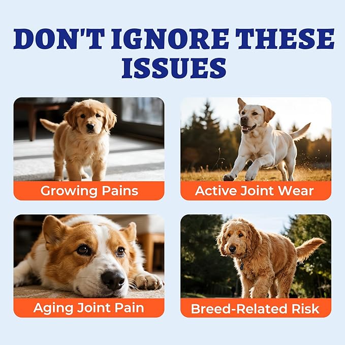 260 Bites Wellix Dog Hip and Joint Supplement Arthritis Pain Relief with Glucosamine Chondroitin MSM Functional Ingredients Joint Care Chews for Senior Dogs Antioxidant Supplements