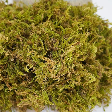 6.5oz Pure Natural Reptile Moss for Humidity, Great for Snakes, Turtle and Other Reptiles, Good for Terrariums for Reptiles & Amphibians