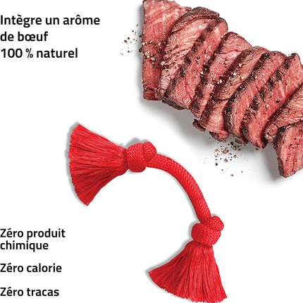 Playology Dog Toys | Dri-Tech Rope Toy Tug of War Rope for Aggressive Chewers | Medium Beef Scented Toy - Easy to Clean and Made from Non Toxic Materials