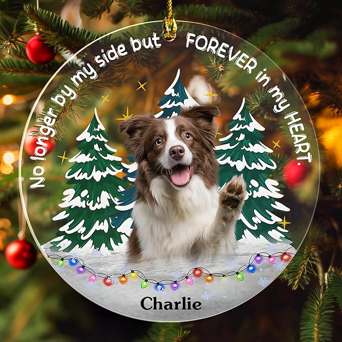 Pavo Personalized Picture Frame Pet Memorial Gifts for Dogs, Cats, Pets - Personalized Decorative Hanging Ornaments 4–6 Inches, Loss of Dog Sympathy Gift, Cat Memorial Gifts for Loss of Cat