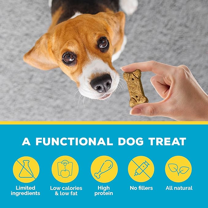 Brutus Bone Broth Biscuits (Beef) - Healthy Dog Treats - Natural Dog Biscuits with Bone Broth and Real Beef for Healthy Joints - 18 Grams of Protein - 8 OZ (Pack of 2)