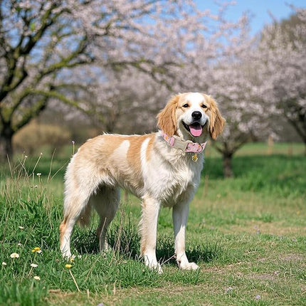 ARING PET Summer Dog Collar, Cute Pink Bee Daisy Floral Pet Collars with Quick Release Buckle for Puppy Small Medium Large Boy Girl Dogs-M