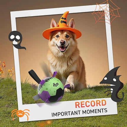 QDAN Dog Toys Ball: Dog Soccer Balls with Straps- Outdoor Herding Balls Toys for Small Medium Dogs- Christmas Puppy Pet Birthday Gifts- 6 Inch Purple Green