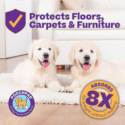 PoochPad Original Washable, Reusable Potty Pad (Small, Pack of 2) - Unmatched Odor Control, Leakproof Puppy Training Pee Pad