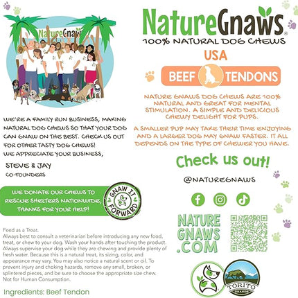 Nature Gnaws USA Beef Tendons for Dogs 1 Pound (8oz X2) - Mixed Thickness - Long Lasting for Aggressive Chewers - Premium Natural Beef Dog Chew Treats - Rawhide Free (Pack of 2)