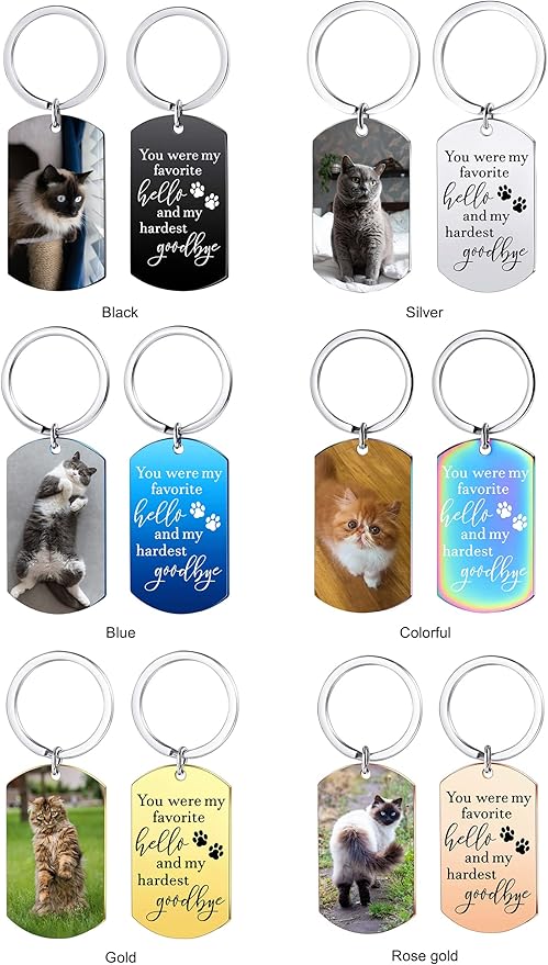 Funnylife Personalized Pet Memorial Keychain for Cats Stainless Steel Custom Pet Photo Memory Keepsake Loss of Cat Sympathy Gifts Cat Pass Away Gifts