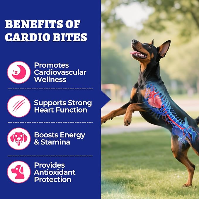 260 Bites Wellix Cardio Bites - Dog Heart Supplements - CoQ10,Taurine,Fish Oil,L-Carnitine for Dogs - Dog Health, Pet Antioxidant Supplements - for Puppy & Large Dogs