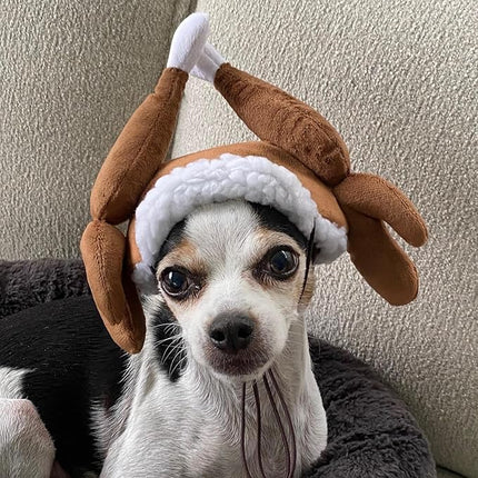 Huxley & Kent Pet Hat | Turkey Tester (Extra-Large) | Fun Thanksgiving Holiday Hat for Dogs/Cats | Cute, Comfortable and Fun | SnugFit Strings for Best Fit