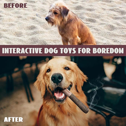 Nocciola Funny Squeaky Dog Toys, Cool Stuffed Plush Toys for Medium, Small and Large, Accessories for Dog Birthday