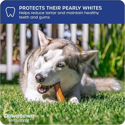 Downtown Pet Supply Jumbo Bully Sticks for Dogs - Natural Beef Chews, Low-Odor & Rawhide-Free, Long Lasting Dog Treats for Aggressive Chewers - Healthy, Safe & Delicious Chews Dogs Love (6" 5 Pack)