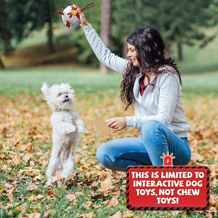 QDAN Dog Toy Balls: Pet Training Soccer Ball Dog Toy with Straps- Puppy Extra Small Dog Balls Beach Pool, Dogs Herding Ball, (5 Inch)