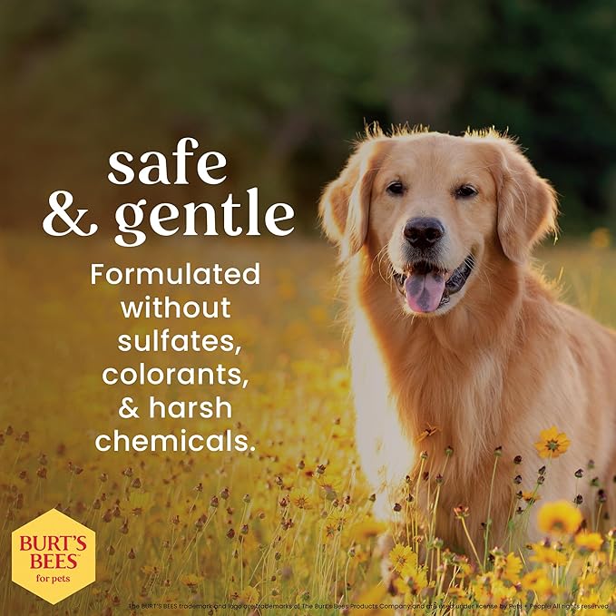 Burt's Bees for Pets Deodorizing Dog Shampoo with Witch Hazel, 95% Natural Origin Formulas, Dog Deodorizing Shampoo - Gentle for Smelly Dogs, 32 oz