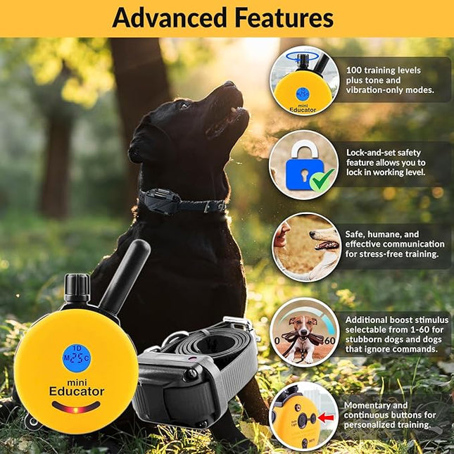 Educator E-Collar Humane Dog Training Collar with Remote, 100 Safe Tapping Stimulation Levels, Night Light, Waterproof, Rechargeable, 1/2 Mile 2 Small-Medium Dogs, Yellow