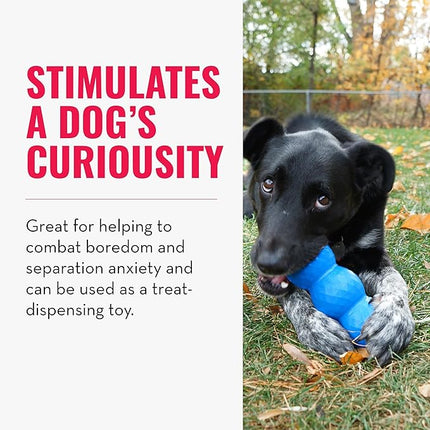 KONG - Genius Mike - Interactive Treat Dispensing Dog Puzzle Toy (Assorted Colors) (Large)