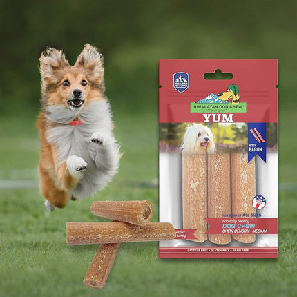 Himalayan Dog Chew Yak Cheese Dog Chews, Lactose Free & Grain Free, USA Made, For All Dog Breeds, Medium Density Cheese Chew, Resealable Pouch with 3 YUM Treats, Bacon Flavor