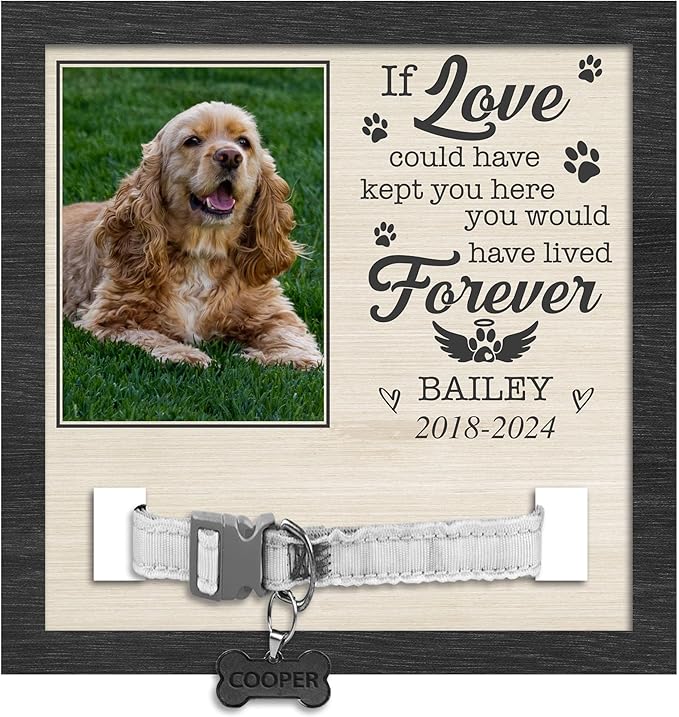 Nazenti Personalized Dog Memorial Picture Frame, Pet Loss Gift, Custom Sympathy Gifts for Loss of Dog, Cat Condolences Gift, Pet Memorial Frame with Collar Holder, Dogs Sign Bereavement Gifts