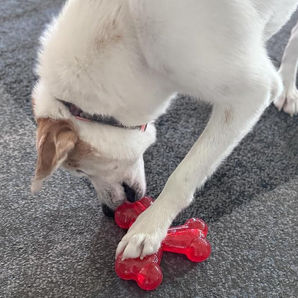 SPOT Play Strong Trident Bone - Durable TPR Long Lasting Dog Chew for Aggressive Chewers, Hole for Treats, Virtually Indestructible Toy for Large Dogs & Puppies up to 90lbs - 6 inch