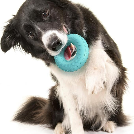 Playology Dog Toys | Dual Layer Ring Durable Chew Toy for Aggressive Chewers | Medium Peanut Butter Scented Toy - Easy to Clean and Made from Non Toxic Materials