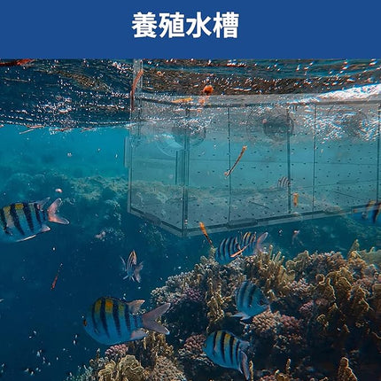 Fish Breeding Box, Acrylic Isolation Box Aquarium Hatchery Incubator with Suction Cups for Newborn Fry, Shrimp, Guppy, Clownfish, Aggressive Fish, 11.5" x 6" x 6"