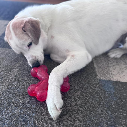 SPOT Play Strong Trident Bone - Durable TPR Long Lasting Dog Chew for Aggressive Chewers, Hole for Treats, Virtually Indestructible Toy for Large Dogs & Puppies up to 90lbs - 6 inch