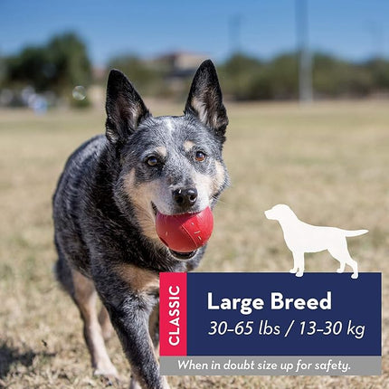 Kong, Ball Red, Medium/Large