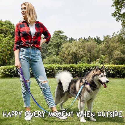 Roses&Poetry Reflective Small Dog Collar and Leash Set, Puppy Collars and Leashes with Gradient Violet, Adjustable Durable Nylon Soft Pet Leash and Collar for Girl and Boy Dogs （Violet-S