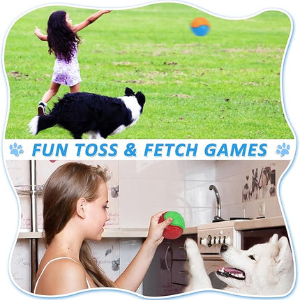 6Pcs Squeaky Dog Balls, Dog Toys Balls for Training, Tough Ball Toys for Dogs, Fit with Dog Ball Launcher, High Bouncy Dog Ball for Interactive Playing, Puppy Pet Chew Balls Teething Balls 2.5in