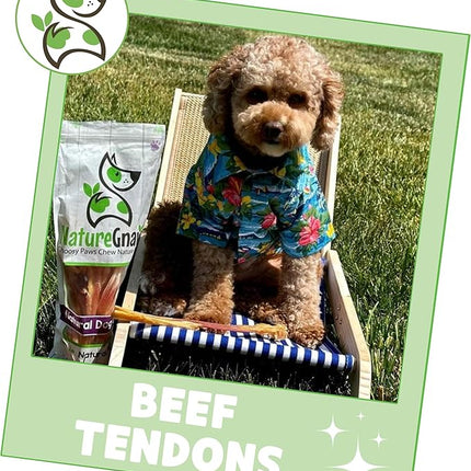 Nature Gnaws Beef Tendons for Dogs 7-11" (12 Count) - Long Lasting for Aggressive Chewers & Large Dogs - Natural Beef Jerky Dog Chew Bones - Rawhide Free