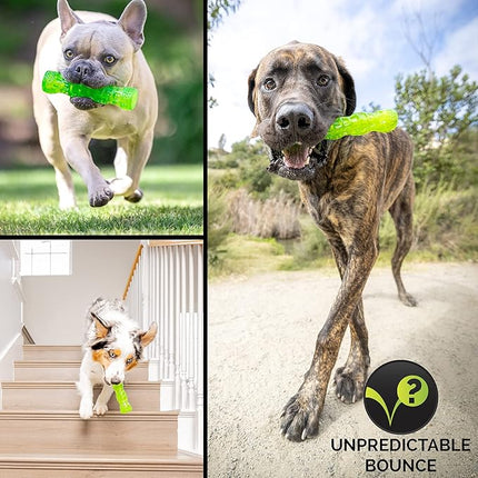 Hyper Pet DuraSqueaks Dog Toy Balls and Chews (Squeaky Dog Ball For Interactive Play – Floating Balls and Toys) - Medium Stick