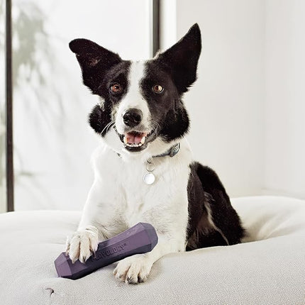 Playology Dog Toys | Durable Squeaky Chew Stick for Dogs | Jumbo Bacon Scented Toy - Easy to Clean and Made from Non Toxic Materials