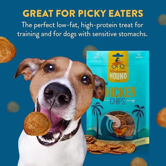 Chicken Chips – Single Ingredient Dog Treats, All Natural & Healthy Training Snacks for Small, Medium & Large Breeds, Puppies – High Protein, Made in USA 16oz
