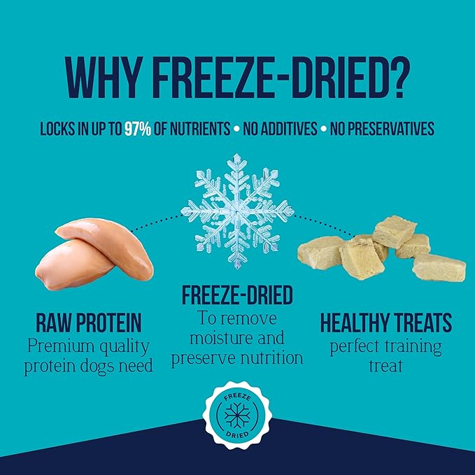 Stewart Single Ingredient Freeze Dried Raw Dog Treats, Chicken Breast, 11.5 Ounce, Approx. 215 Pieces per Resealable Tub, Training Treats or Meal Topper, High Protein, Grain Free, Gluten Free