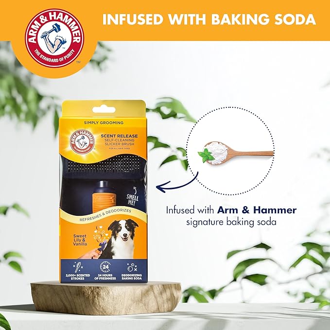Arm & Hammer “Simply Calm” Dog Grooming Slicker Deodorizing Brush with Fragrance Transfer Technology – Scented Self-cleaning for Shedding, Scented for Dogs with Sweet Lily & Vanilla Scent