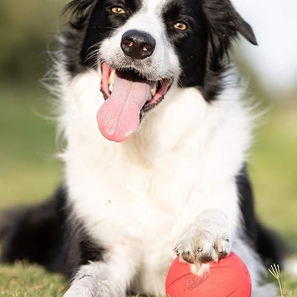 Nerf Dog Rubber Ball Dog Toy with Interactive Squeaker, Lightweight, Durable and Water Resistant, 4 Inch Diameter for Medium/Large Breeds, Single Unit, Red