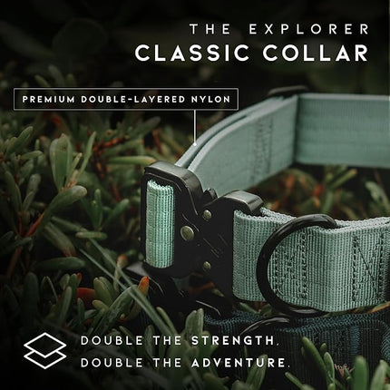 Made to ROAM Premium Dog Collar - Adjustable Heavy Duty Nylon Collar with Quick-Release Metal Buckle (Texas Flair, Classic Size 5)