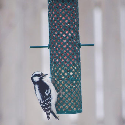 C&S Berry Flavored Nuggets, 6 Pack