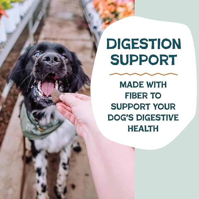 Shameless Pets Soft-Baked Dog Treats, Pumpkin Nut Partay - Natural & Healthy Chews for Digestive Support with Fiber - Doggy Biscuits Baked & Made in USA, Free from Grain, Corn & Soy - 1 Pound 1Pack