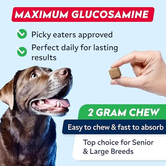Advanced Glucosamine Chondroitin Joint Supplement for Dogs - Hip & Joint Pain Relief Pills - Green Lipped Mussel & Collagen - Large & Small Breed - Senior Dogs Joint Health - Bacon Flavor - 180ct