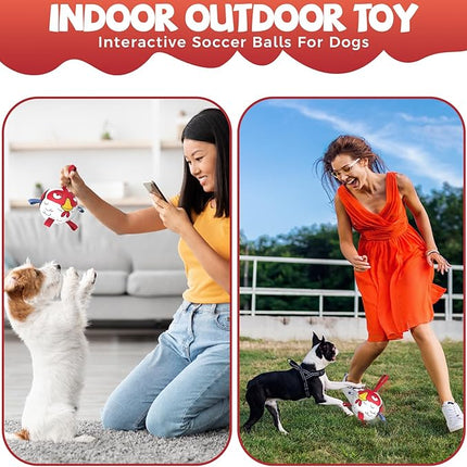 QDAN Dog Toy Balls: Pet Training Soccer Ball Dog Toy with Straps- Puppy Extra Small Dog Balls Beach Pool, Dogs Herding Ball, (5 Inch)