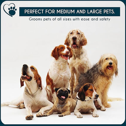 Candure LED Dog Nail Clippers with Light - Pet Nail Clippers with Light for Dogs & Cats, Sharp Stainless Steel Blades for Thick Nails, Safe Grooming Trimmer with Nail File (Sky Blue)