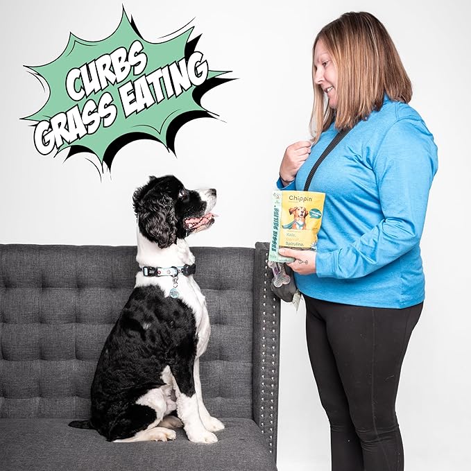 Chippin Natural Dog Treat, Spirulina, Kale Carrots, Healthy Meal Topper, Crunchy Vegan Dog Biscuit for Puppies, Seniors, Stops Grass Eating, Hypoallergenic, Gift, Sustainable Product