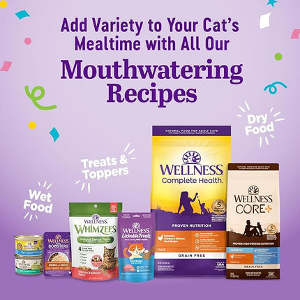 Wellness Appetizing Entrées Flaked & Shredded Adult Wet Cat Food, Natural, Protein-Rich, Grain Free, 2.8 Ounce Pouch, 8 Pack (Seafood & Poultry Variety Pack)